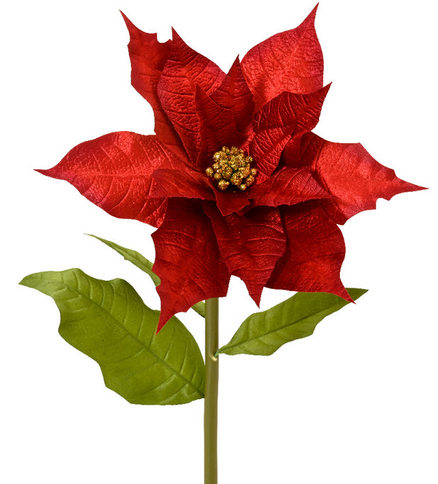 Poinsettia felt