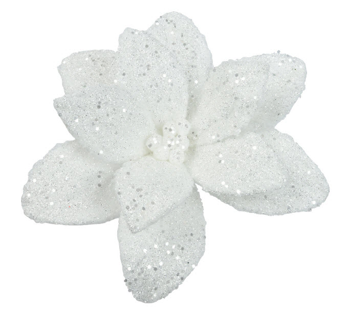 Poinsettia fur