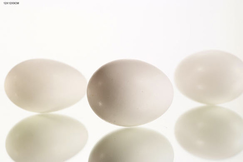Goose egg