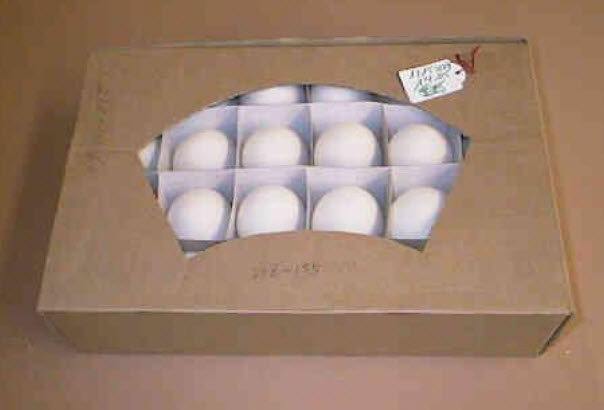 Goose egg