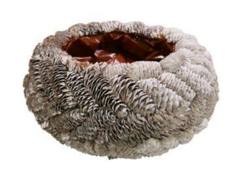 Pinecone bowl