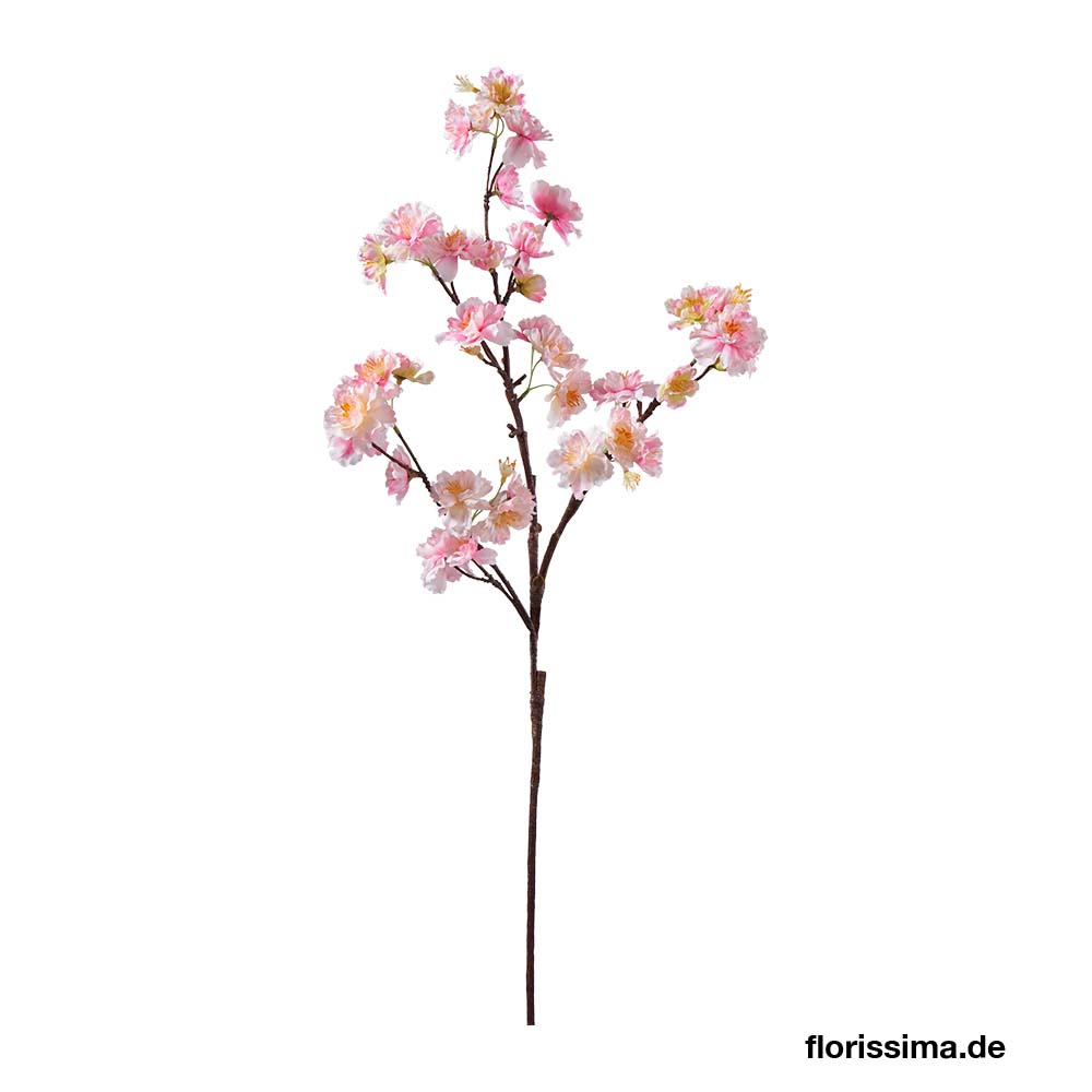 Cherry blossom spray