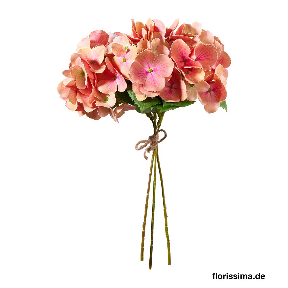 Hortensia spray