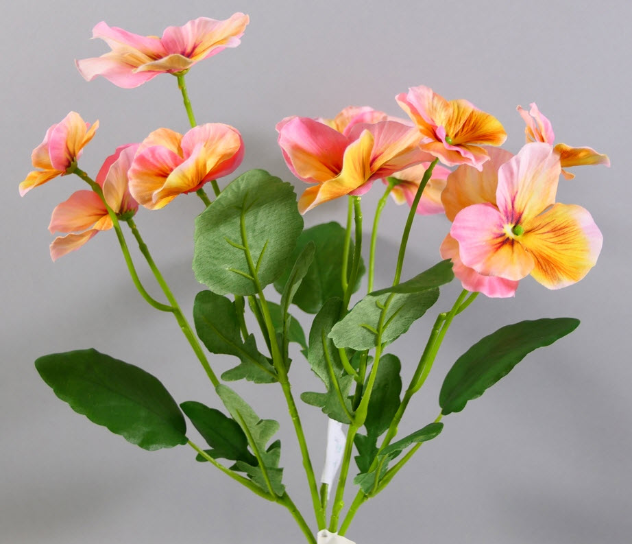 Pansy spray x5