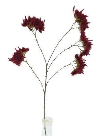Spray blooming x5