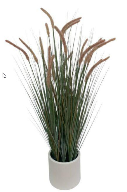 Grass in pot x15