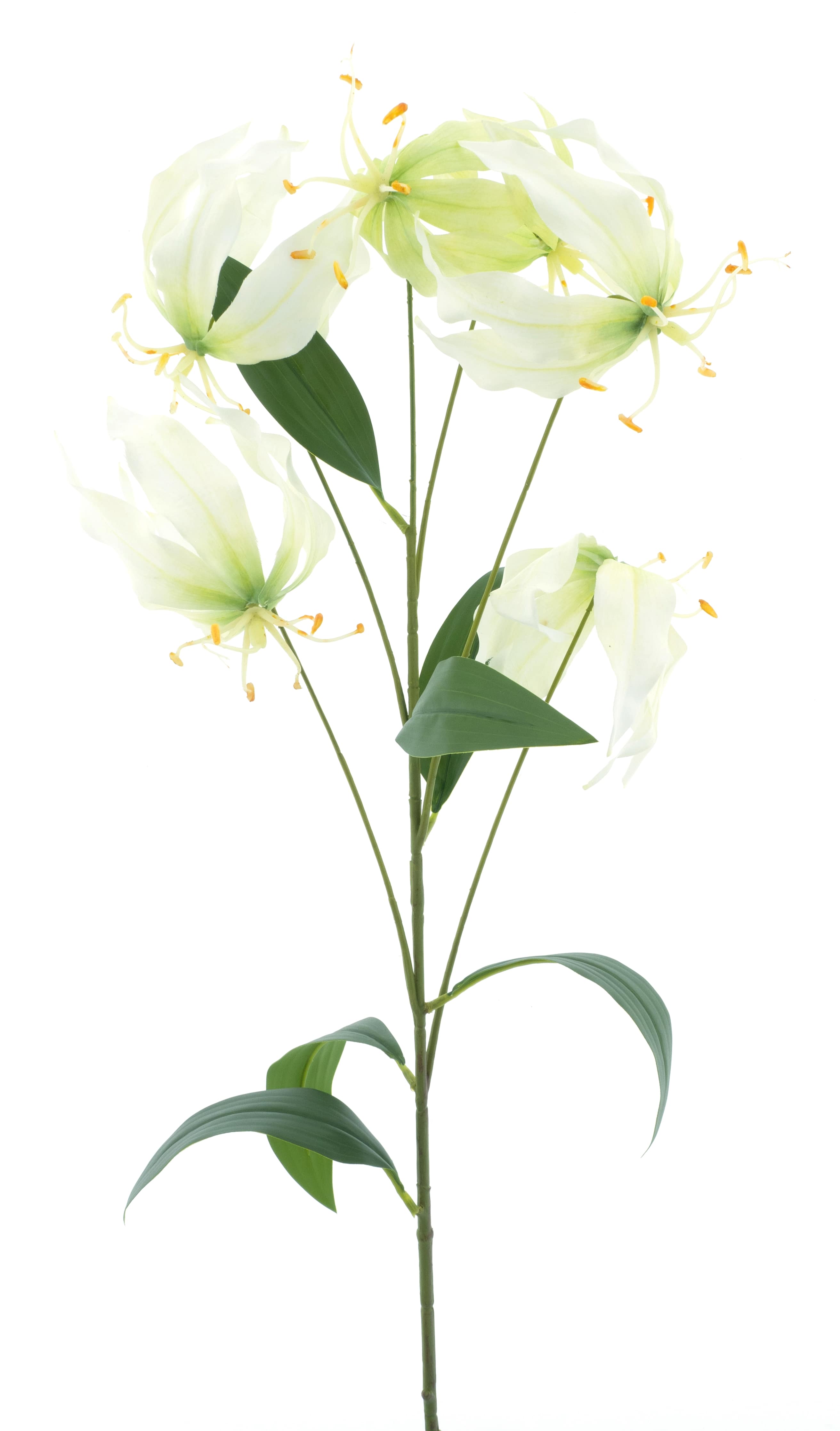 Gloriosa lily spray