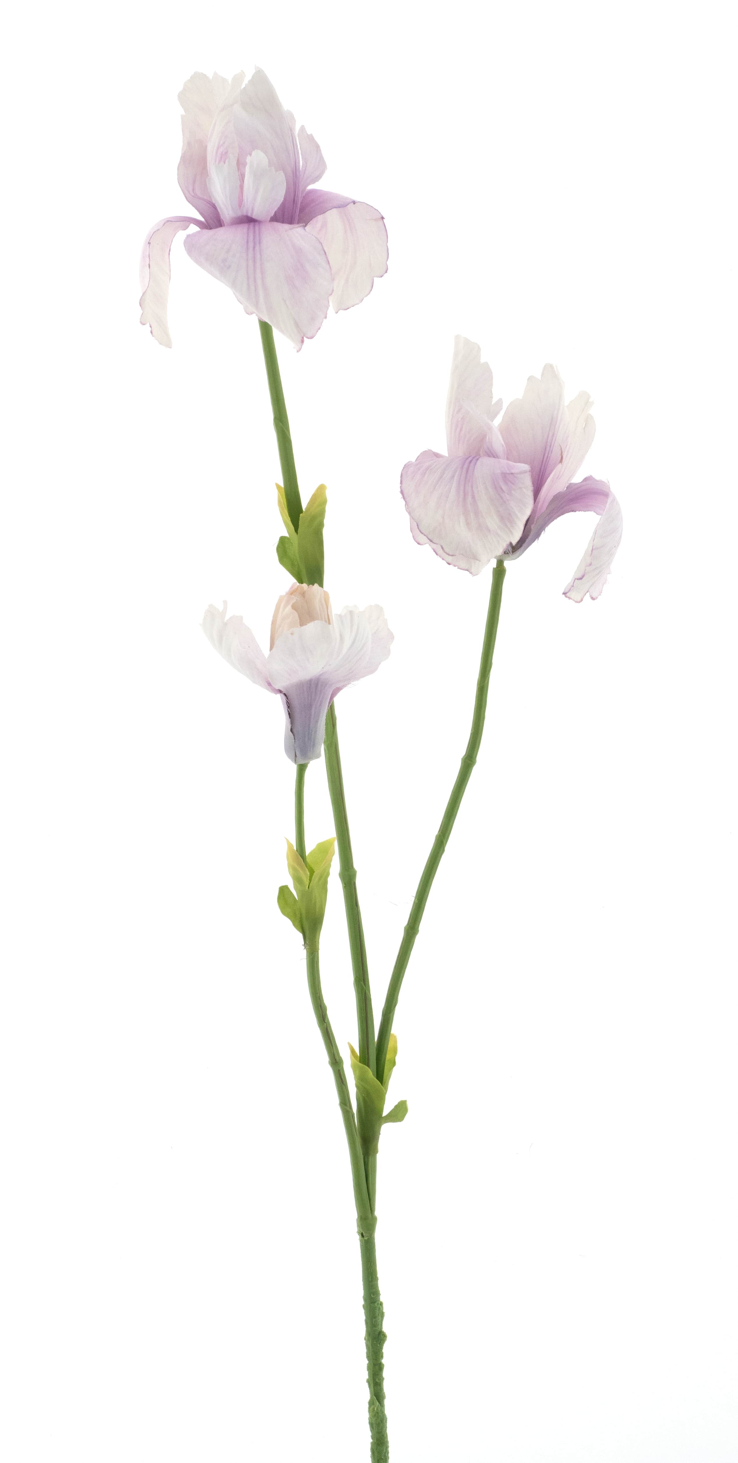 Iris spray fletcher