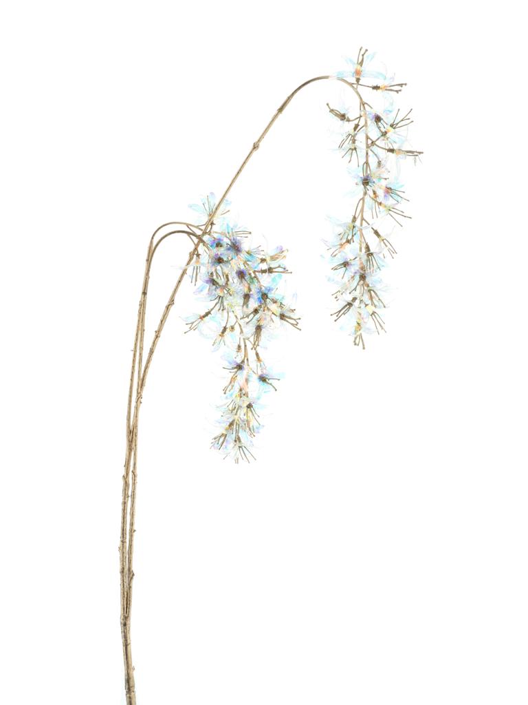 Luriosum spray