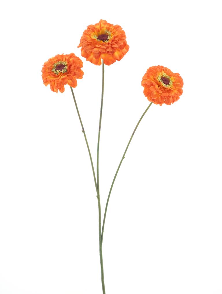 Zinnia spray