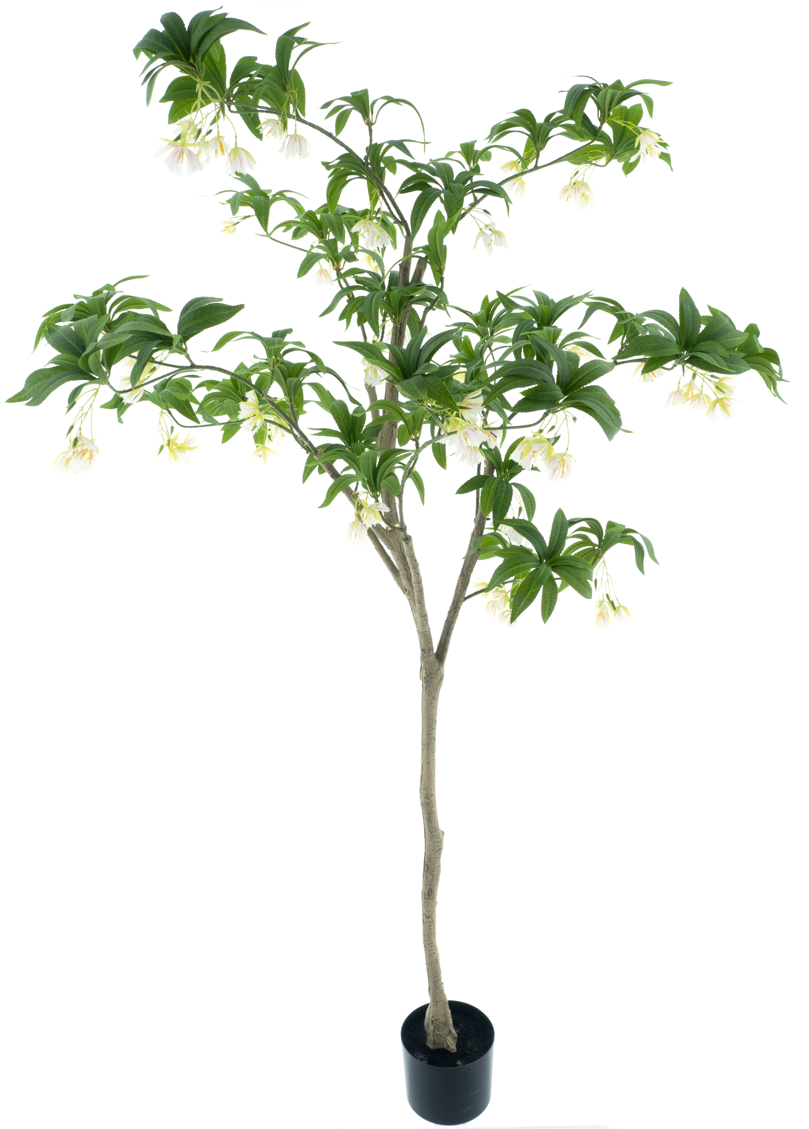 Spring flower tree