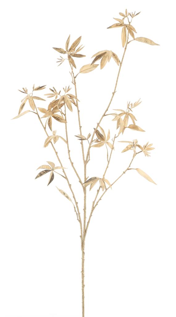Rock maple spray