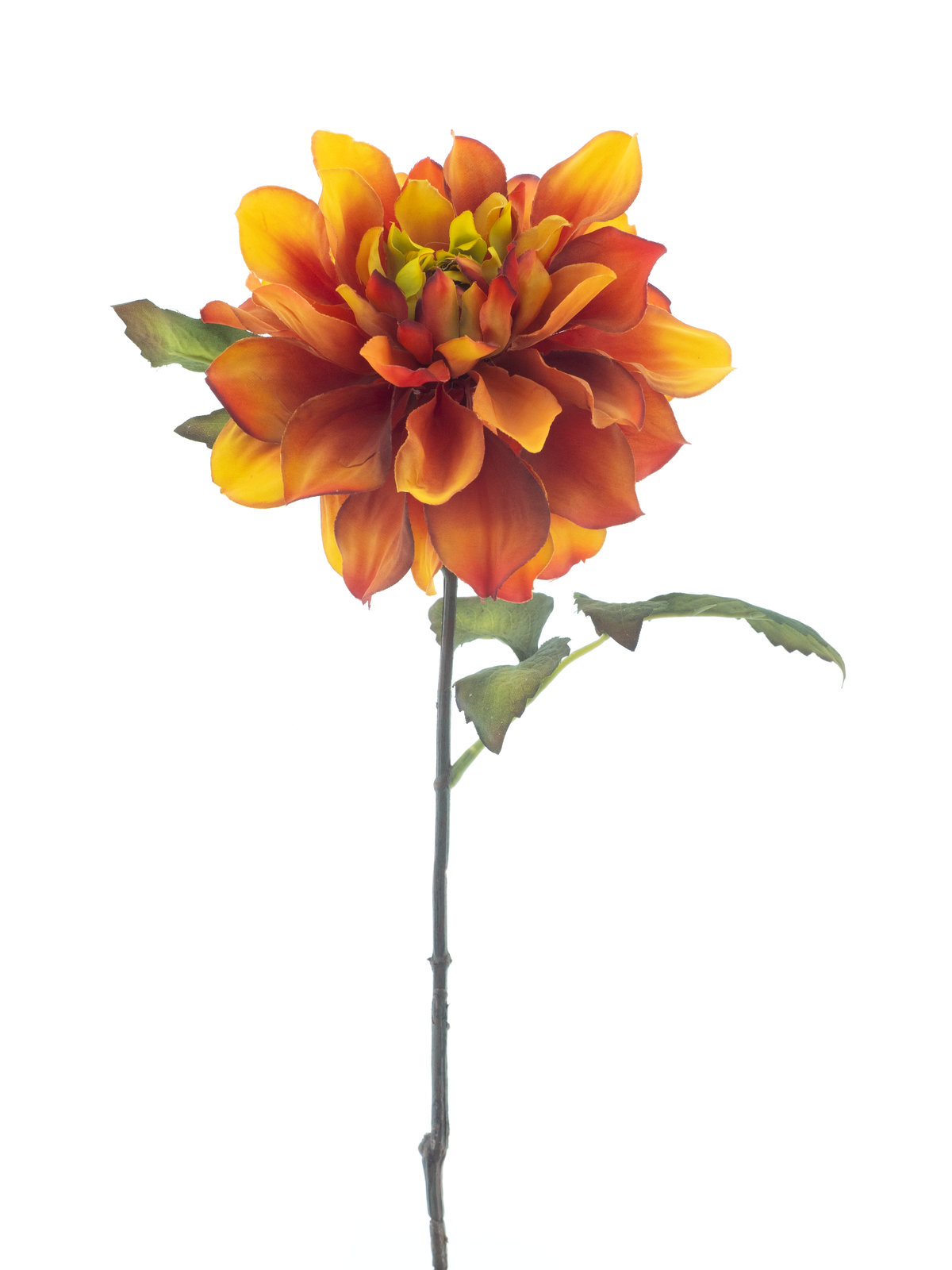 Dahlia spray
