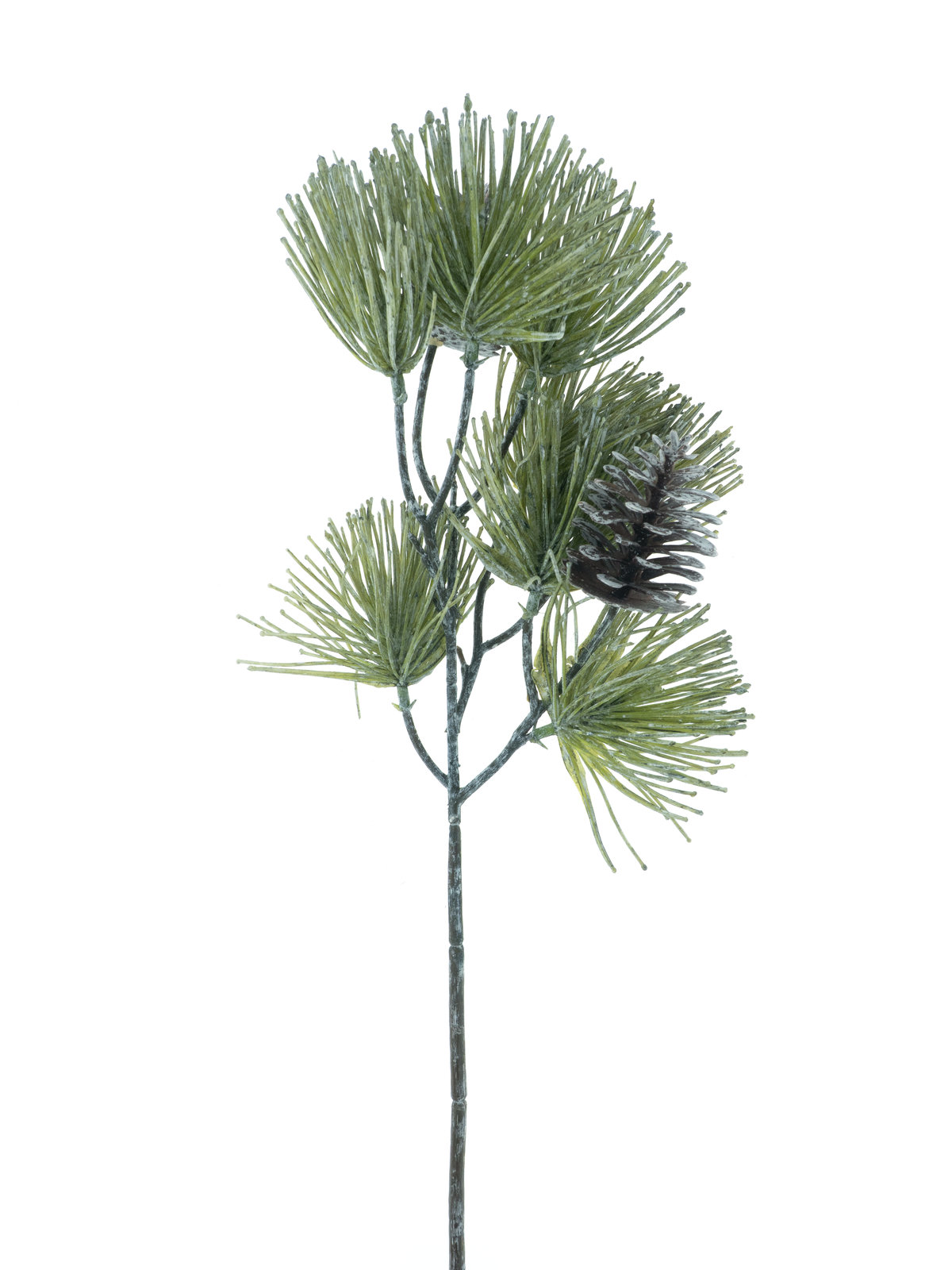 Pinus spray w/cone