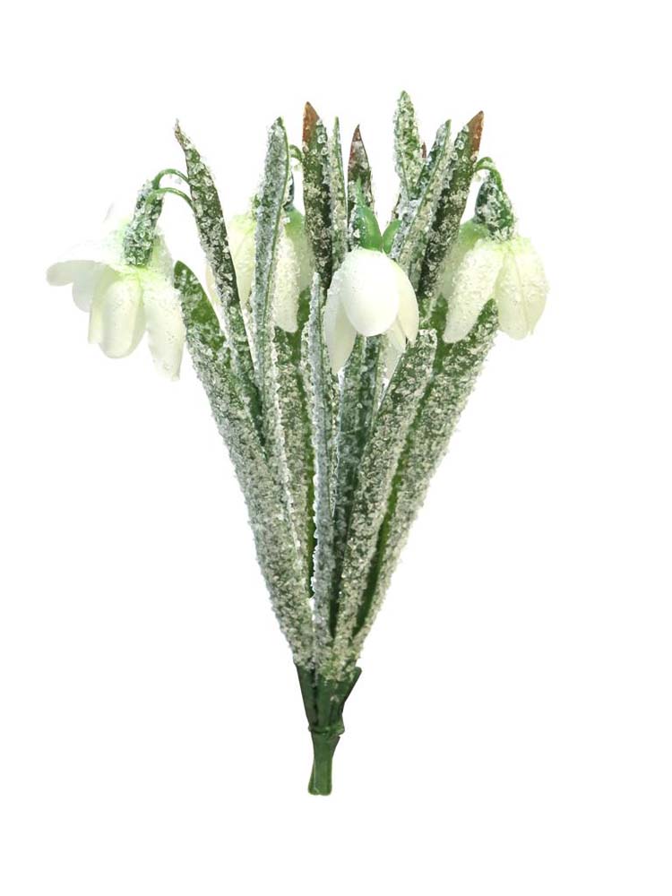 Snowdrop bundle x5