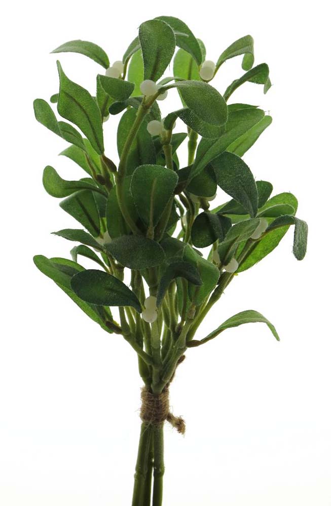 Mistletoe bundle