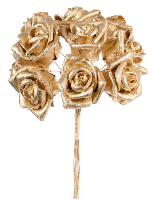 Rose bush