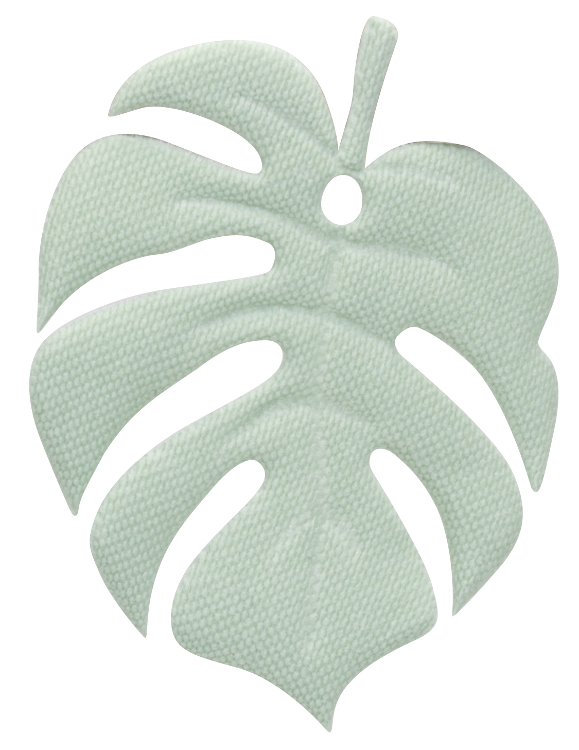 Monstera leaf