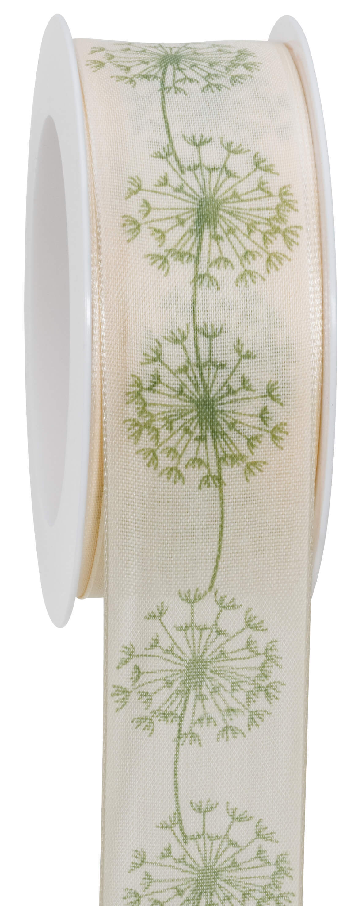 Ribbon dandelion
