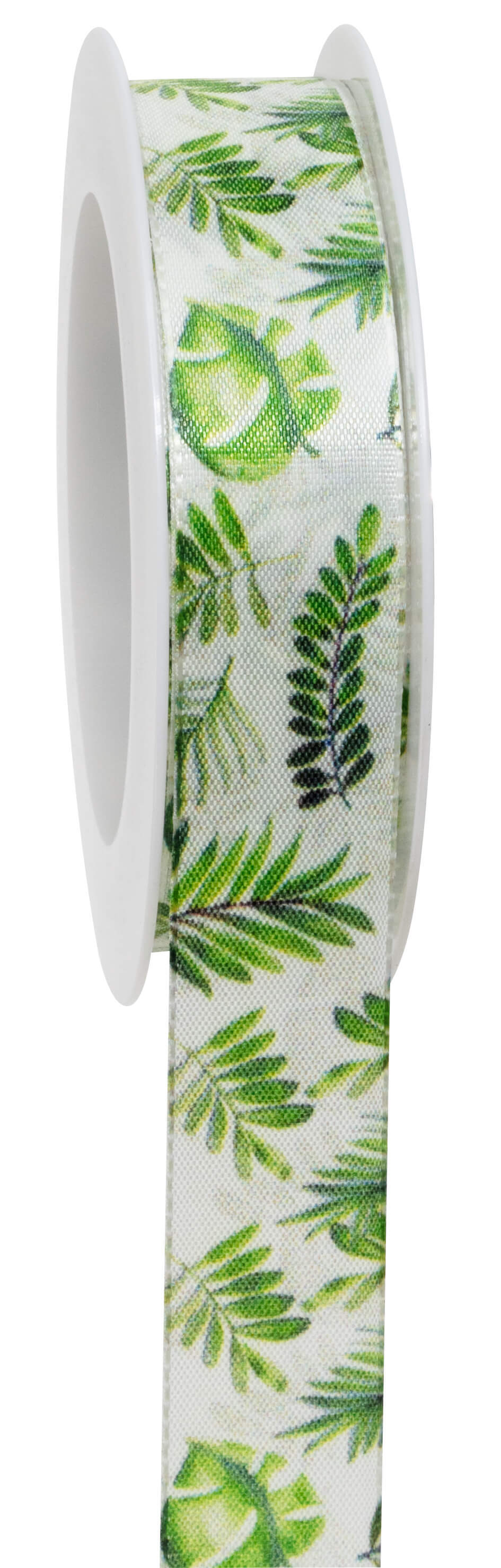 Ribbon jungle lvs