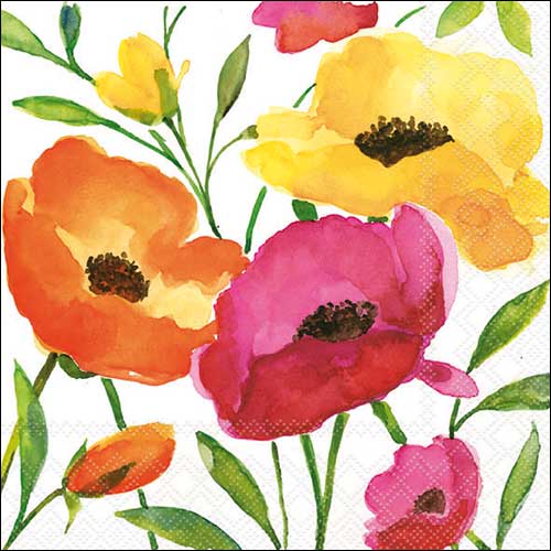 Aquarell poppy