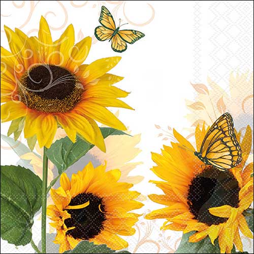 Sunny butterfly
