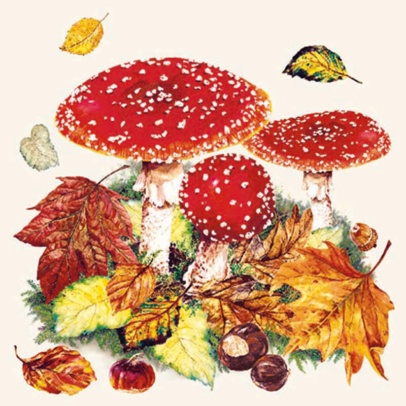 Fly agaric