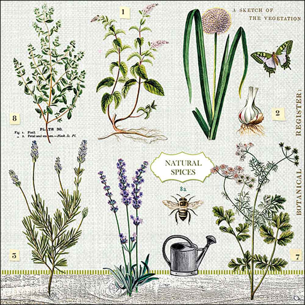 Herbs garden
