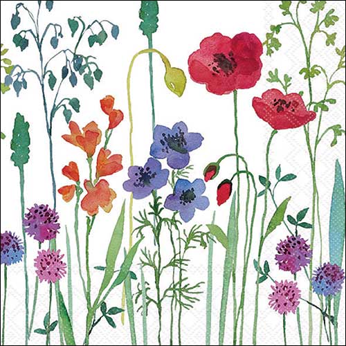 Meadow flowers