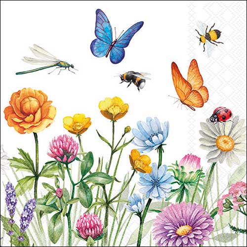 Butterfly meadow