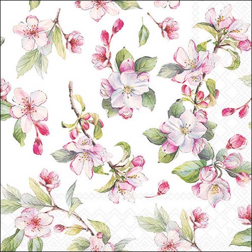 Spring blossem
