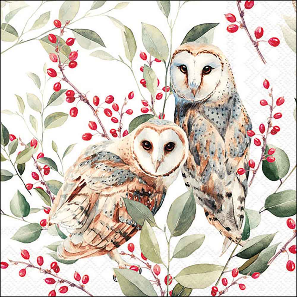 Barn owl couple