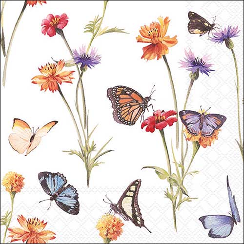 B-fly garden white