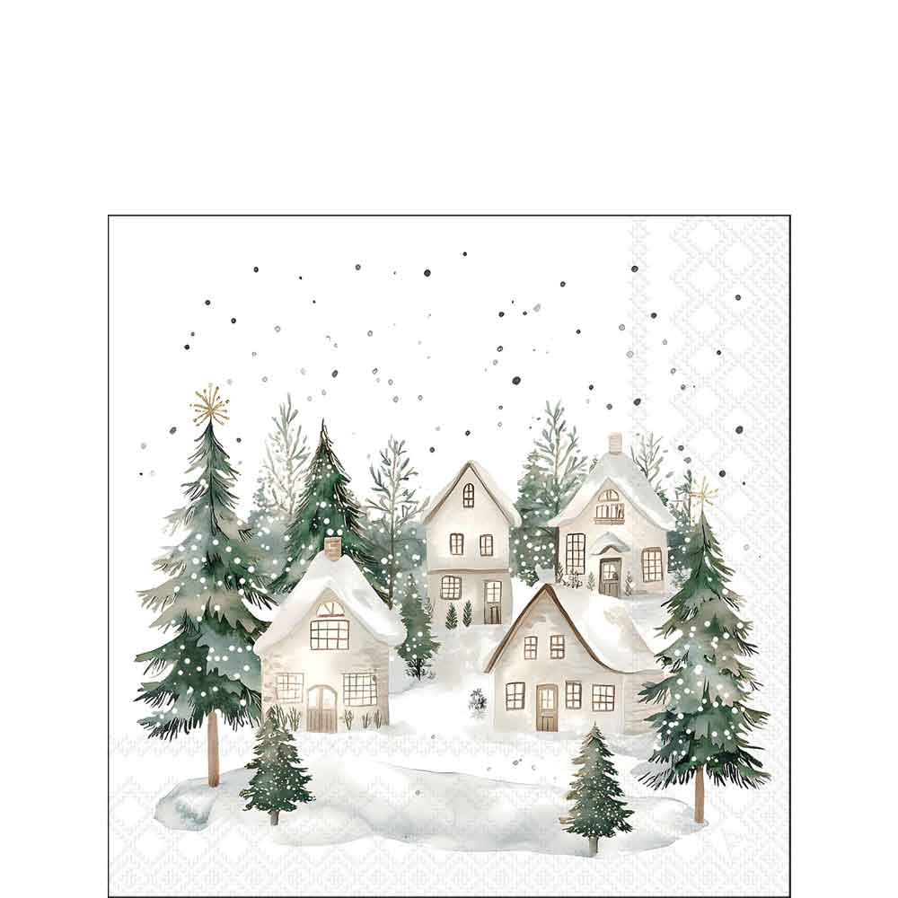 Snowy houses