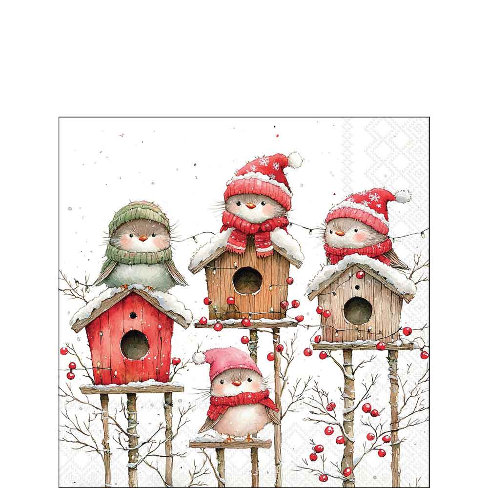 Birdhouse quartet