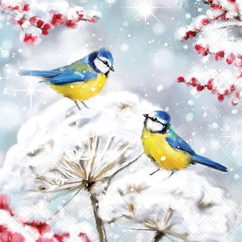 Birds in the snow