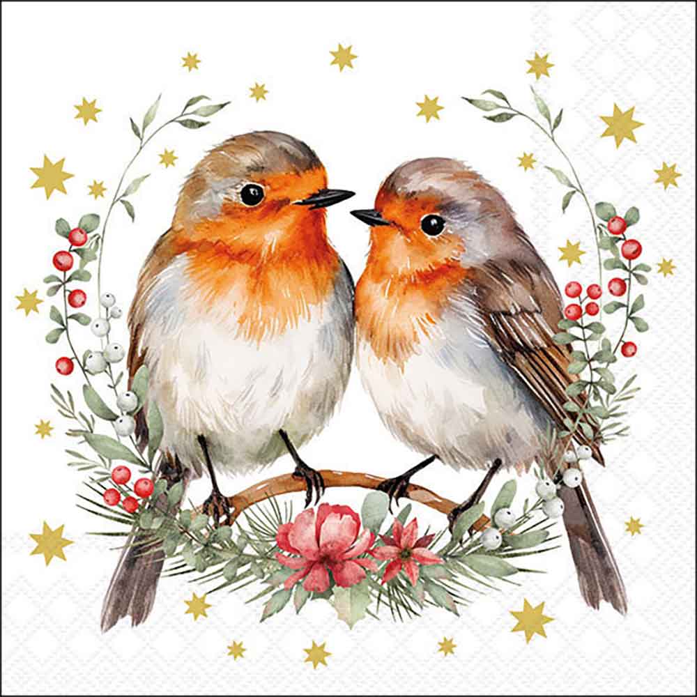 Couple of robins