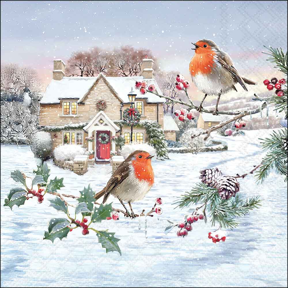 Birdy village