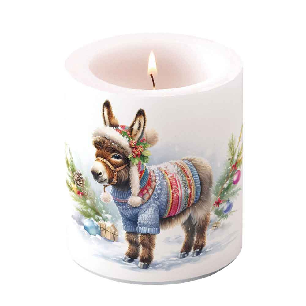 Wooley donkey